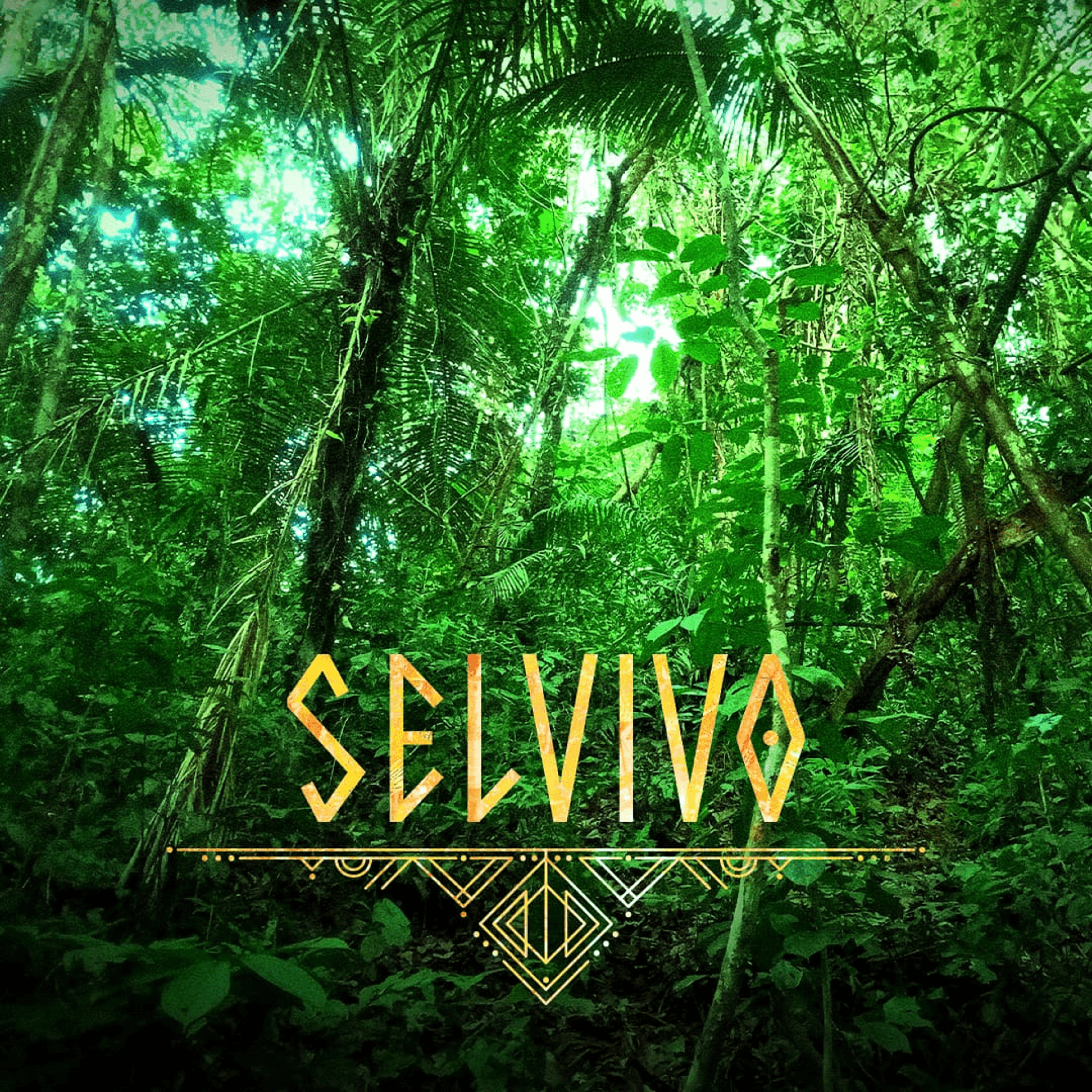 Release cover