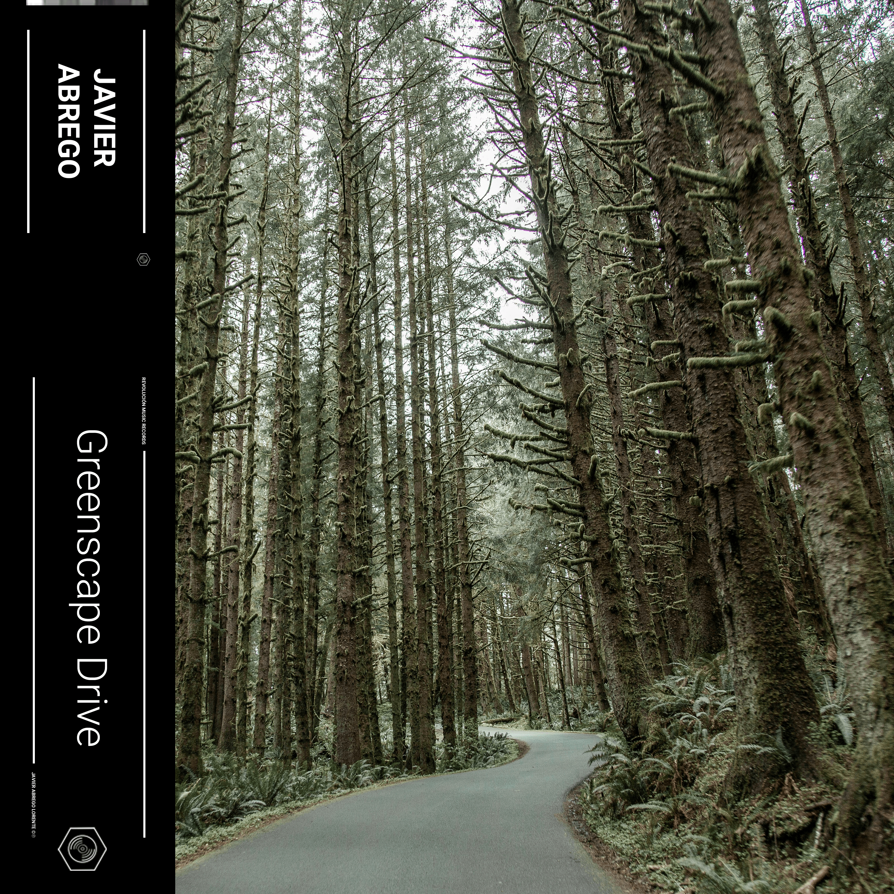 Release cover