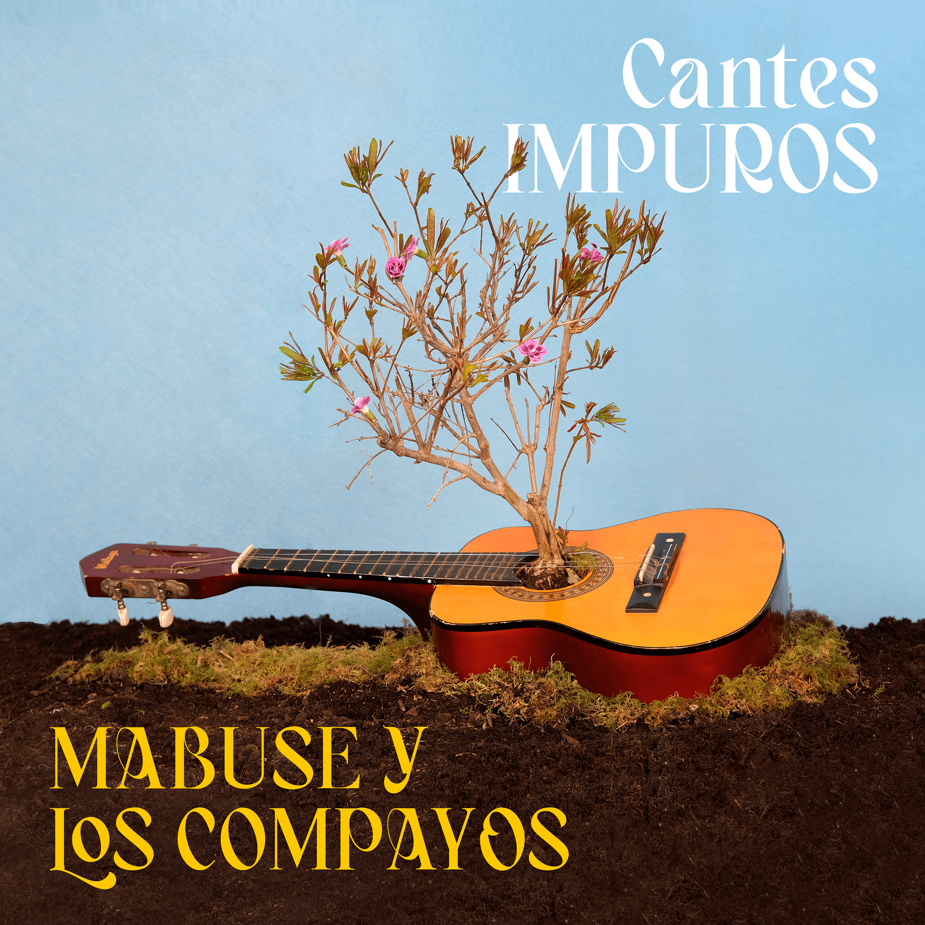 Release cover
